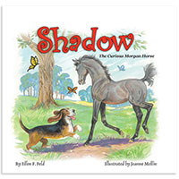MHF Shadow: The Curious Morgan Horse