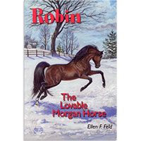 MHF Robin: The Lovable Morgan Horse