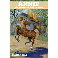 MHF Annie: The Mysterious Morgan Horse