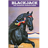 MHF Blackjack: The Champion Morgan Horse
