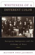 Whiteness Of A Different Color - cover photo