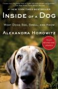 Inside Of A Dog - cover photo
