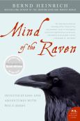 Mind Of The Raven - cover photo