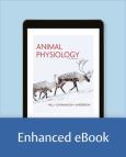 (eBook) Animal Physiology - cover photo
