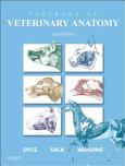 Image of (eBook) Dyce, Sack, and Wensing's Textbook of Veterinary Anatomy