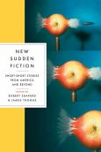 Image of New Sudden Fiction