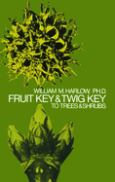 Fruit Key & Twig Key - cover photo