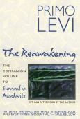 Image of Reawakening