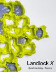 Landlock X - cover photo