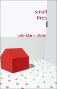 Image of (eBook) Small Fires