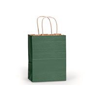 Gift Bag - Plain Kraft Medium