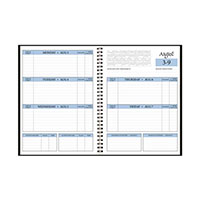 Payne Pub. Academic Shimmer Student Assignment Planner