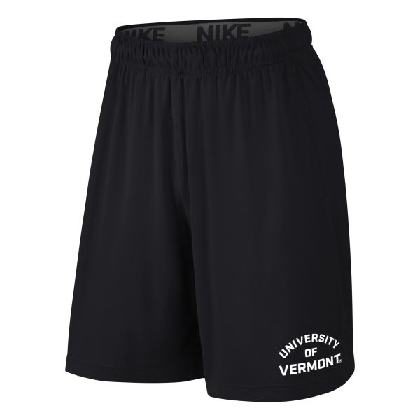 Nike Spellout Fly Short 2.0