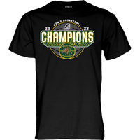     2023 America East Men's Basketball Champions T-Shirt