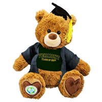 Class Of 2024 Graduation Bear