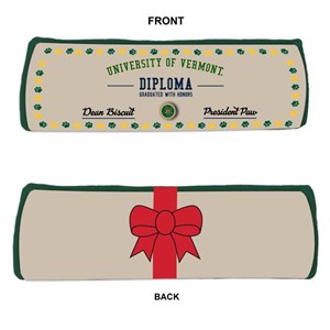 Doggy Diploma Squeaky Toy - main view