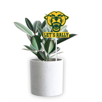 RALLY MARK FLAG POP