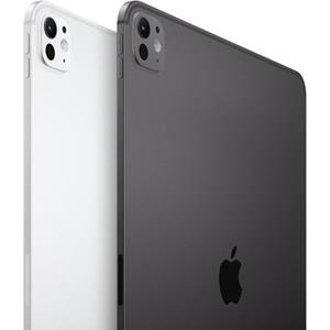    11IN IPAD PRO STANDARD GLASS