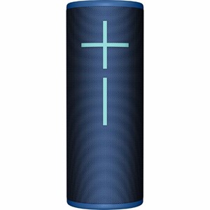 Ultimate Ears Boom 4 - main view