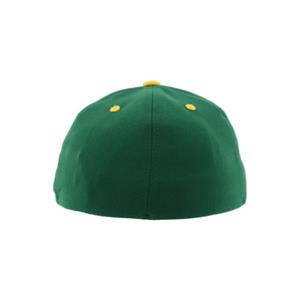 Image of ZEPHYR V/CAT FLEX FIT HAT -  2