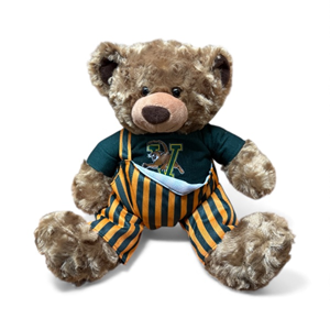 Image of 2025 Cozy Bear With Green & Gold Overalls