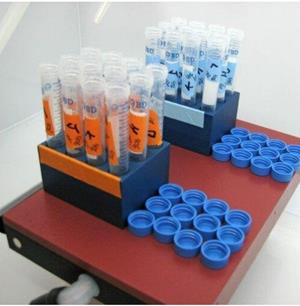 Image of Gel Drydown Block
