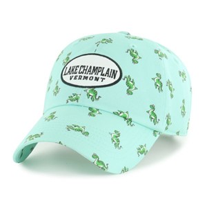Image One Lake Champlain Patch Champ Youth Hat - main view