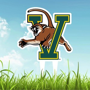 Small V/Cat Pvc Lawn Sign - main view