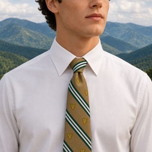 NECKTIE - REPEATING V SHIELD & STRIPES -  1