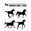 Representative image of Morgan Horse Farm Gifts & Books